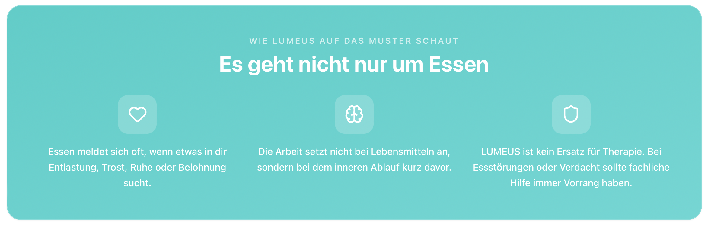 Infobox mit der Überschrift „Es geht nicht nur um Essen“ und drei Symbolen für Entlastung